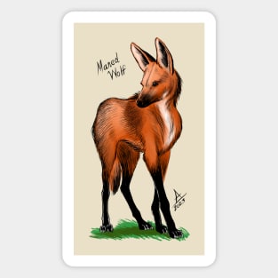 Maned Wolf Magnet